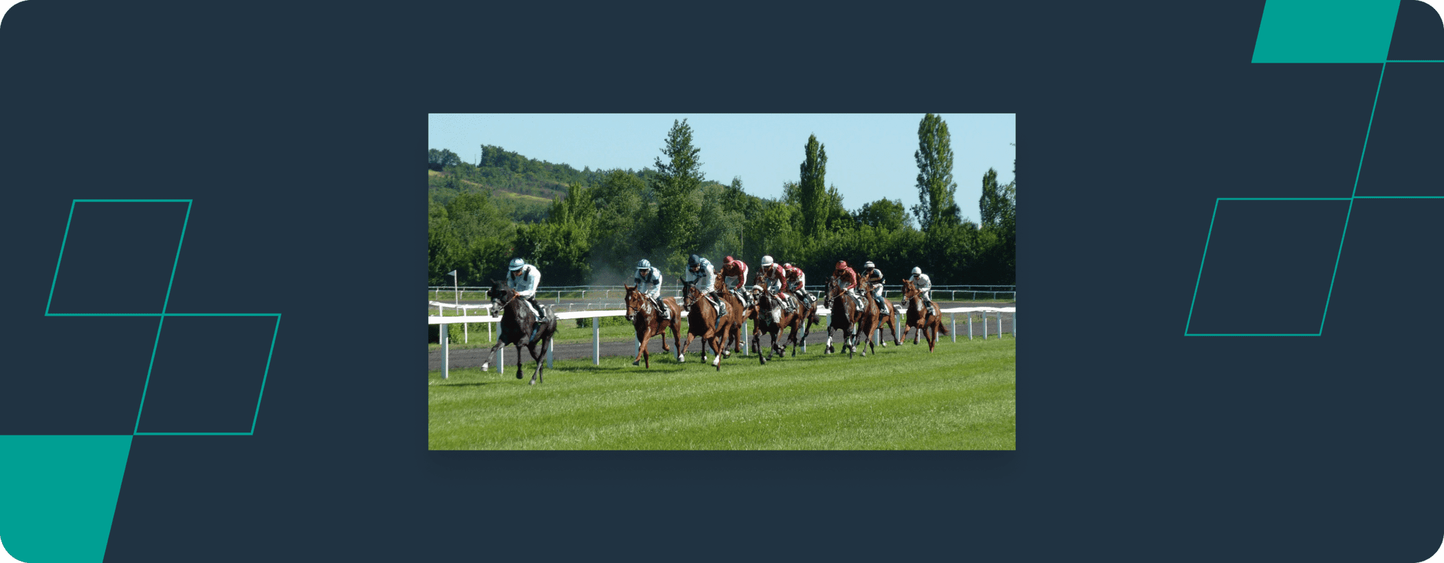 horse race on grass